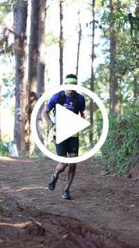 BIB:  <button type="button" onclick="openModal(26567174)" class="btn btn-primary btn-sm float-right" data-toggle="modal" data-target=".modal-high-quality">
                <i class="fa fa-download"></i> Download
                </button>